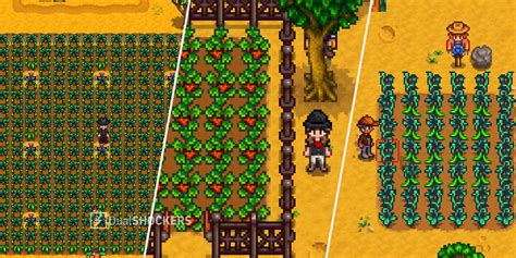 best summer fruit stardew|stardew valley pineapple season.